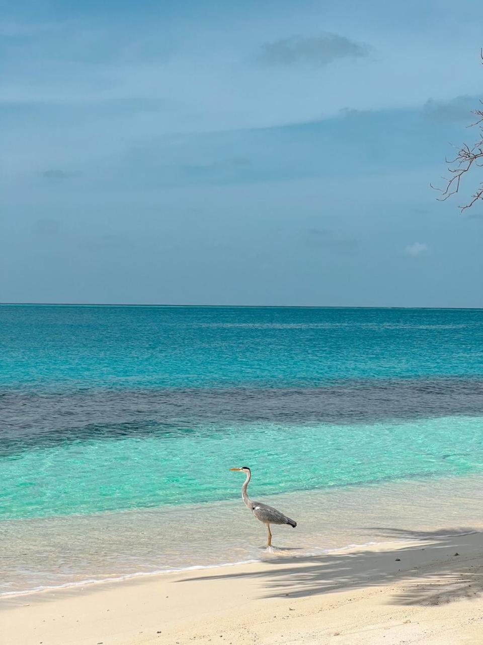 Infinite Lagoon Mandhoo Ngoại thất bức ảnh