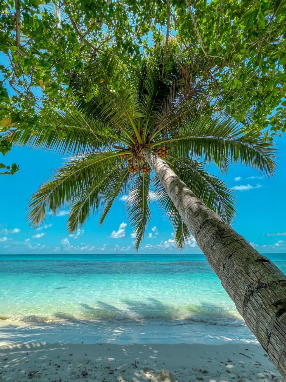 Infinite Lagoon Mandhoo Ngoại thất bức ảnh